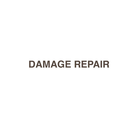 Damage Repair